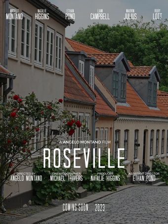 roseville heights 2022 poster