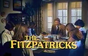 the fitzpatricks 1977 poster