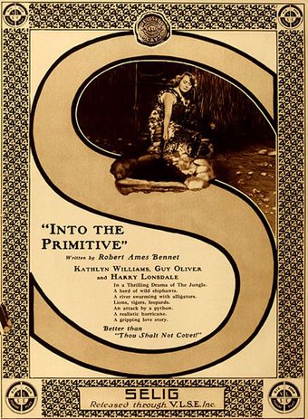 into the primitive 1916 poster