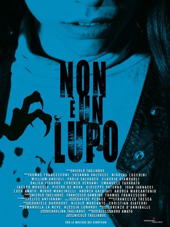 non è un lupo 2022 poster