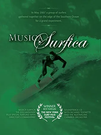 musica surfica 2008 poster