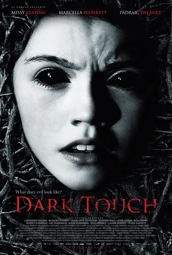 dark touch 2013 poster