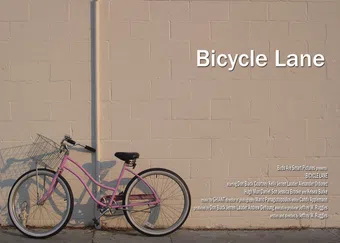 bicycle lane 2009 poster