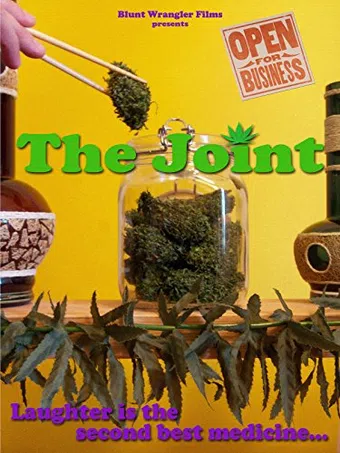 the joint 2013 poster