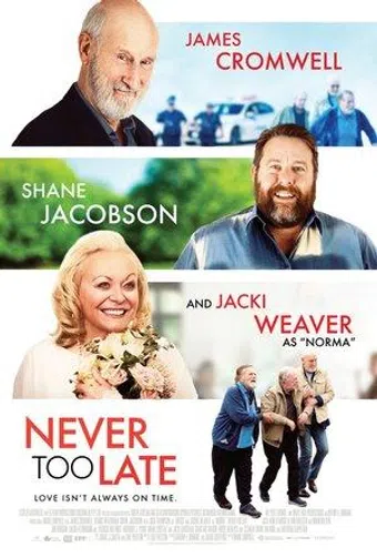 never too late 2020 poster