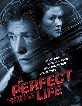 a perfect life 2010 poster