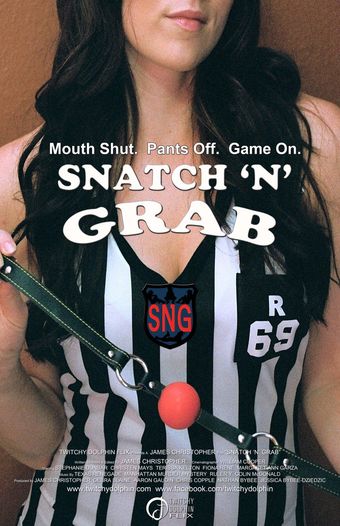 snatch 'n' grab 2010 poster