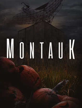 montauk poster