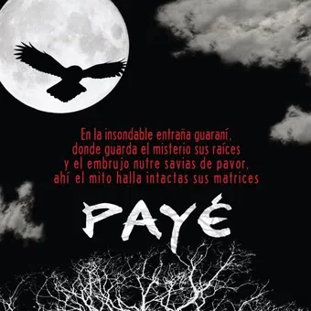 payé 2011 poster