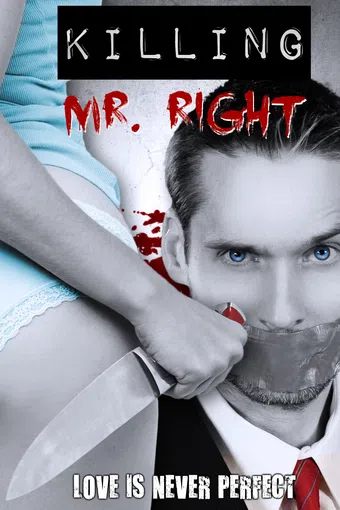 killing mr. right 2014 poster