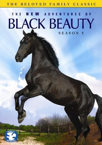 the new adventures of black beauty 1990 poster