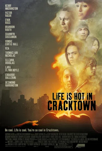 life is hot in cracktown 2009 poster