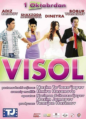 visol 2011 poster