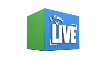 callaway live 2015 poster