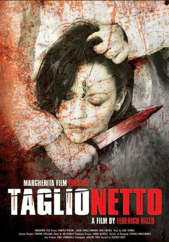 taglionetto 2011 poster