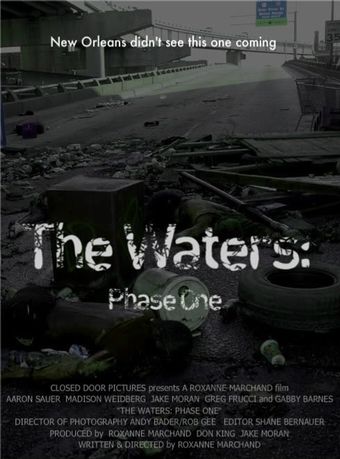 the waters: phase one 2012 poster