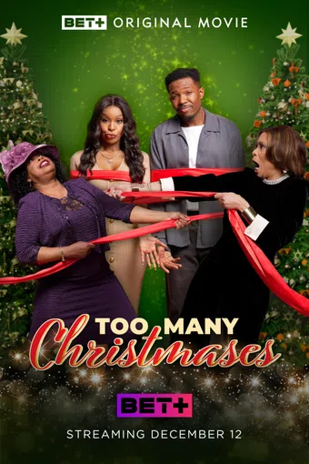 too many christmases 2024 poster