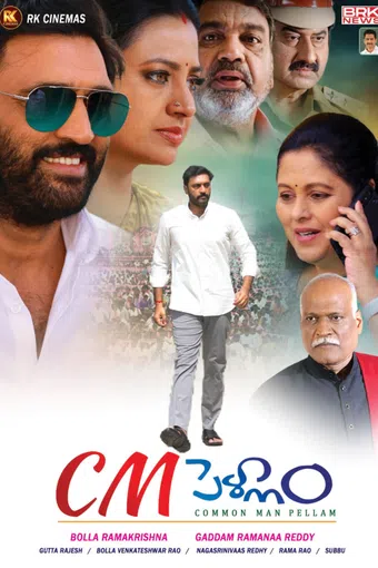 common man pellam 2025 poster