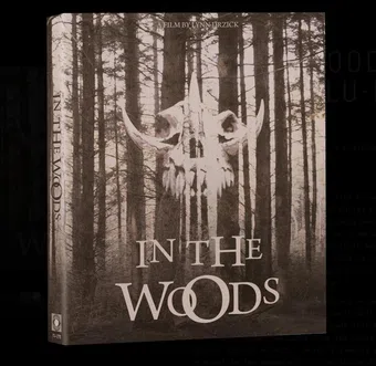 in the woods 2024 poster