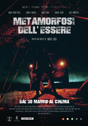 metamorfosi dell'essere 2024 poster