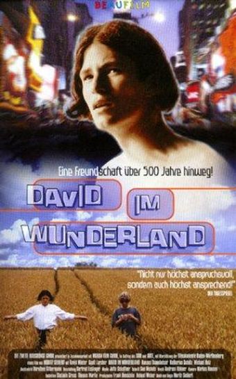 david im wunderland 1998 poster