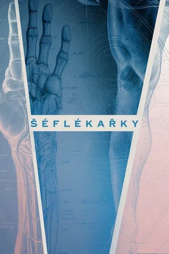 séflékarky 2025 poster