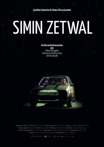 simin zetwal 2022 poster