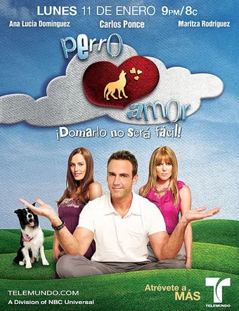 perro amor 2010 poster