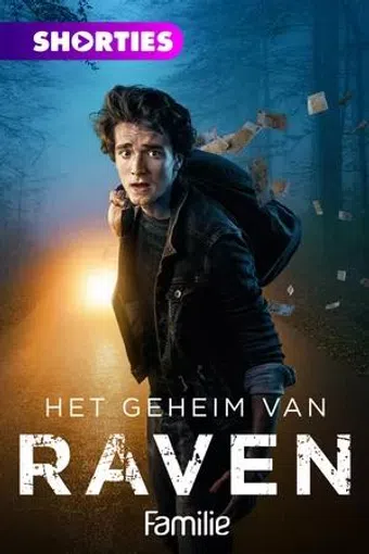 het geheim van raven 2021 poster