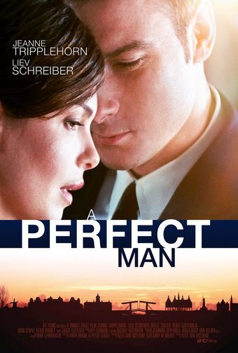 a perfect man 2013 poster