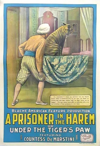 a prisoner in the harem 1913 poster