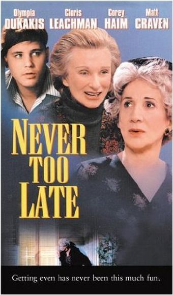 never too late 1996 poster