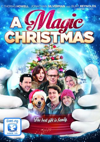 a magic christmas 2014 poster