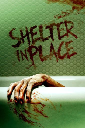 shelter in place 2021 poster