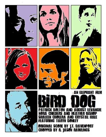 bird dog 2010 poster