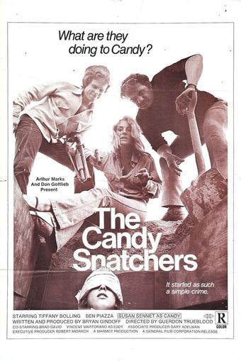 the candy snatchers 1973 poster