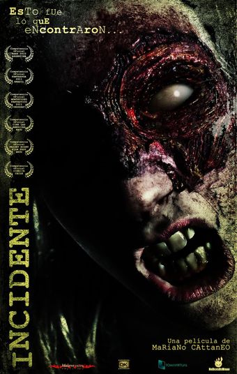 incidente 2010 poster