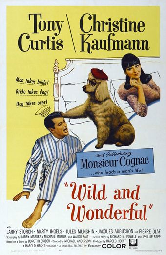 wild and wonderful 1964 poster