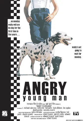 angry young man 2003 poster