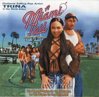 a miami tail 2003 poster