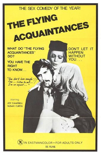 flying acquaintances 1973 poster