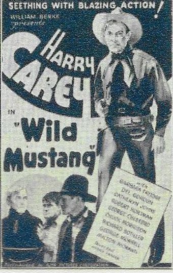 wild mustang 1935 poster