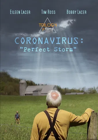 coronavirus: perfect storm 2020 poster