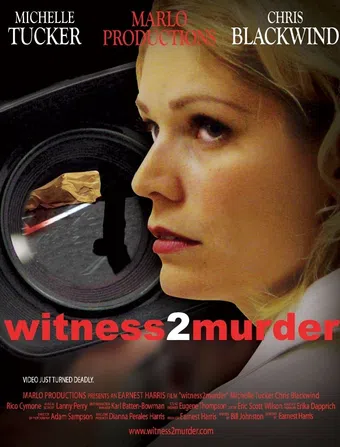 witness 2 murder 2004 poster