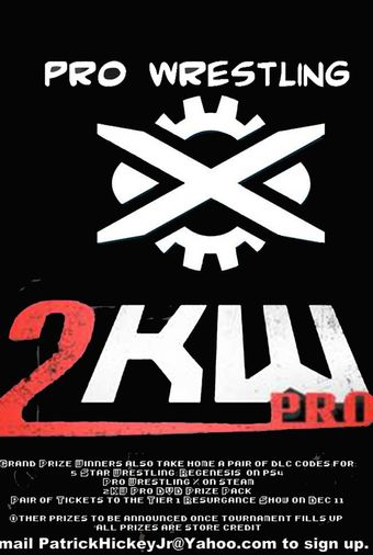 2kw pro 2010 poster