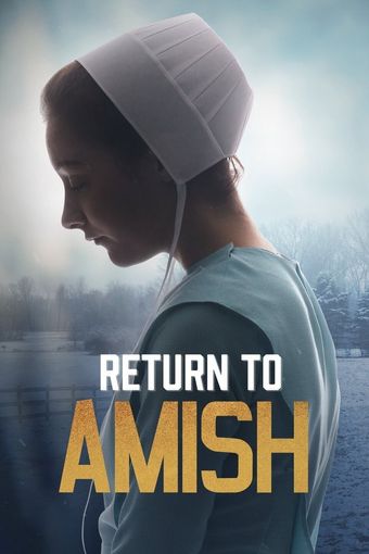 return to amish 2014 poster