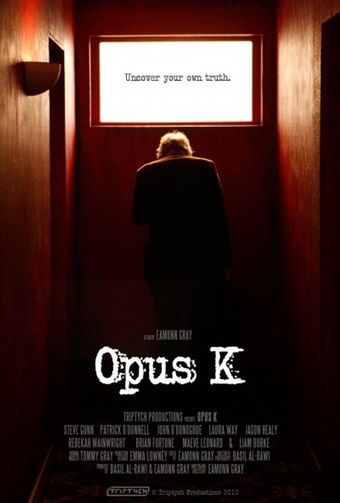 opus k 2011 poster