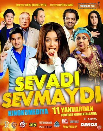 sevadi sevmaydi 2017 poster