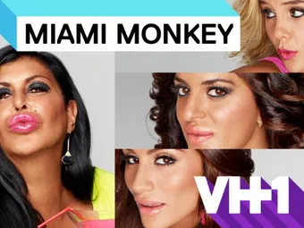 miami monkey 2013 poster