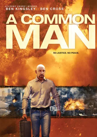 a common man 2013 poster